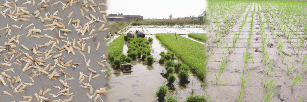 عکس ترکیبی برای سایت.png